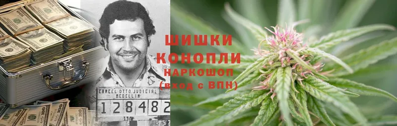 Каннабис Ganja  Малая Вишера 